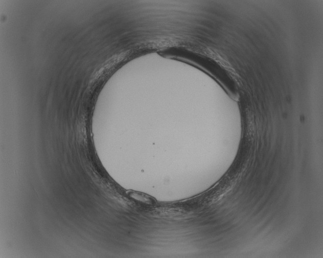 X0000078230681200612011540