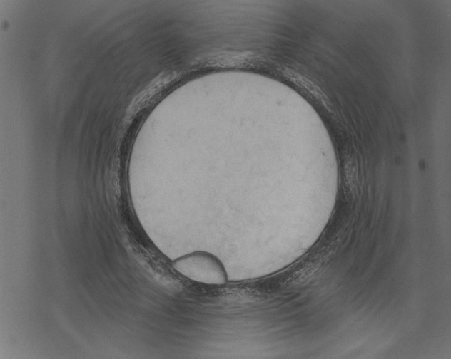 X0000078230682200612011540