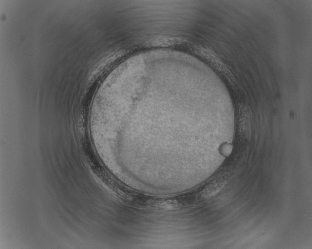 X0000078230683200612011540