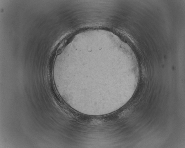 X0000078230684200612011540