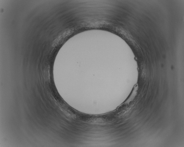 X0000078230685200612011540