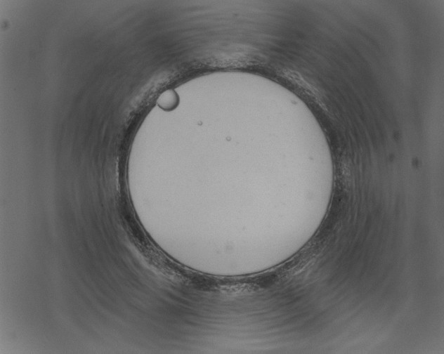 X0000078230686200612011540