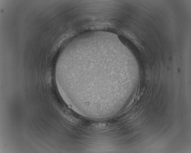 X0000078230687200612011540