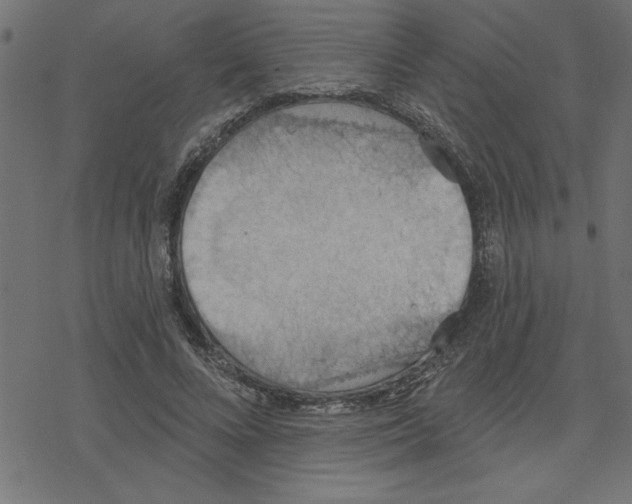 X0000078230688200612011540