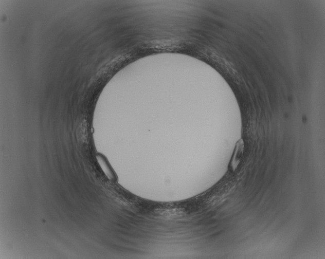 X0000078230689200612011540