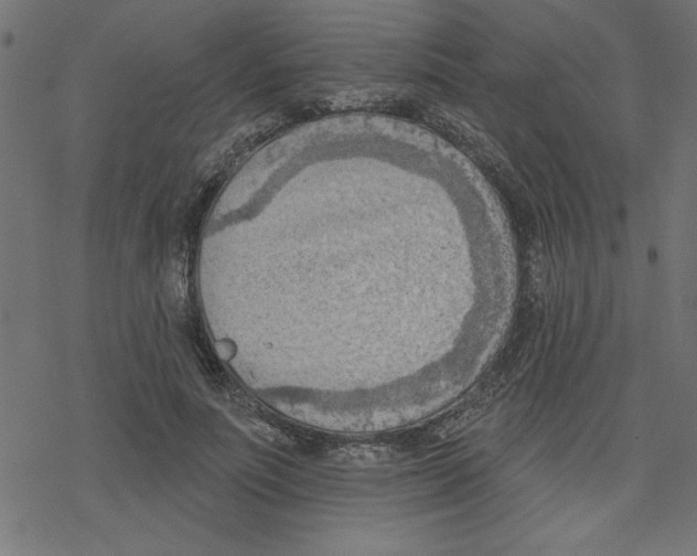 X0000078230691200612011540