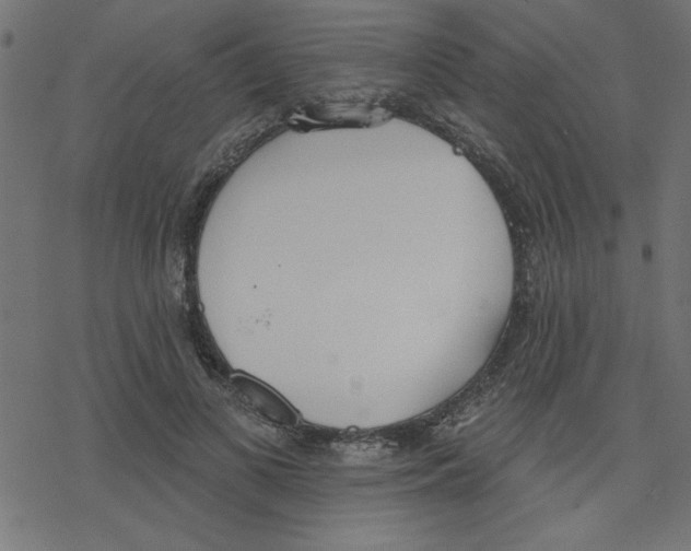 X0000078230693200612011540