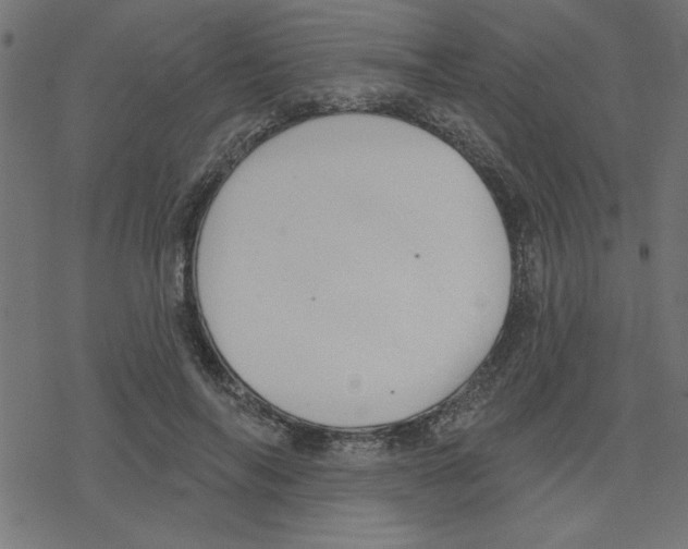 X0000078230694200612011540