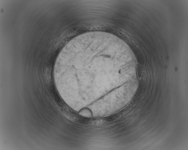 X0000078230695200612011540