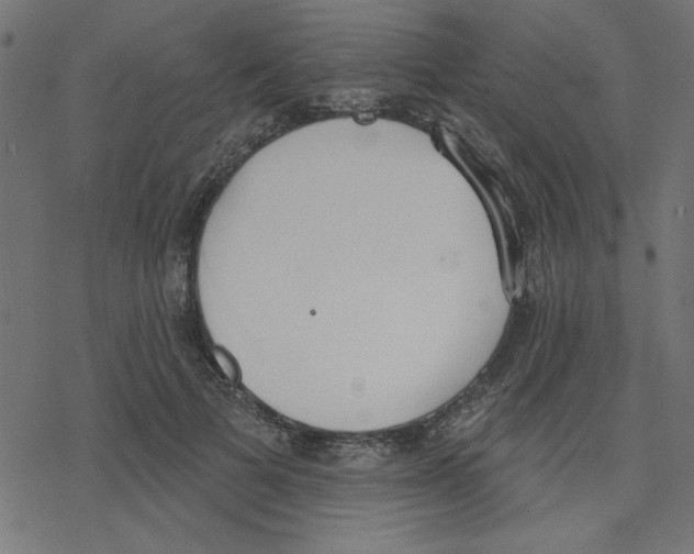 X0000078230697200612011540