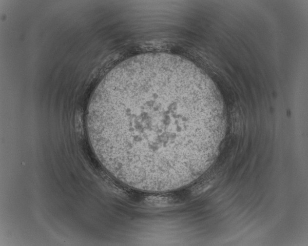 X0000078230699200612011540