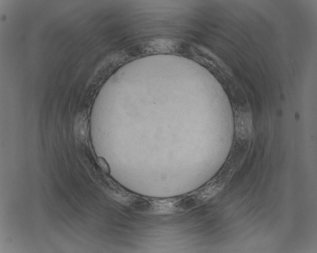 X0000078230701200612011540