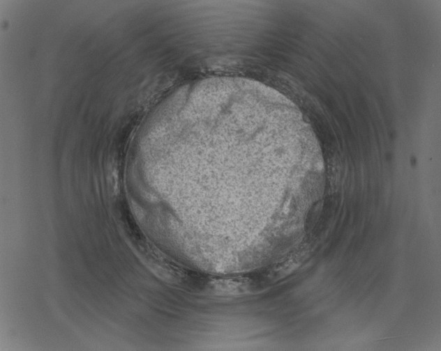 X0000078230703200612011540