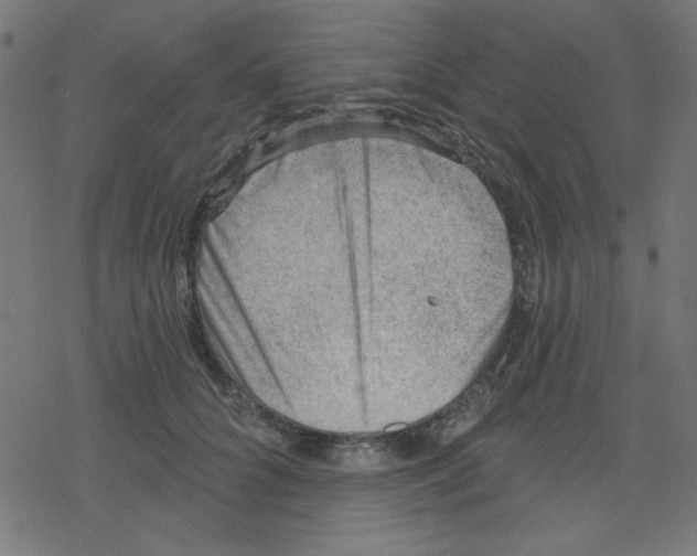 X0000078230704200612011540