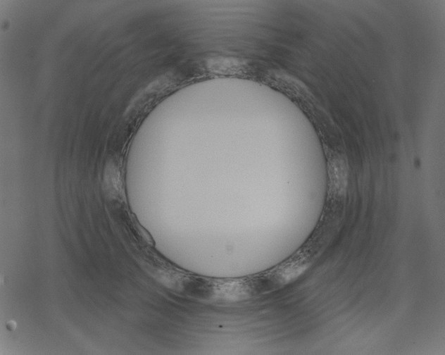 X0000078230705200612011540