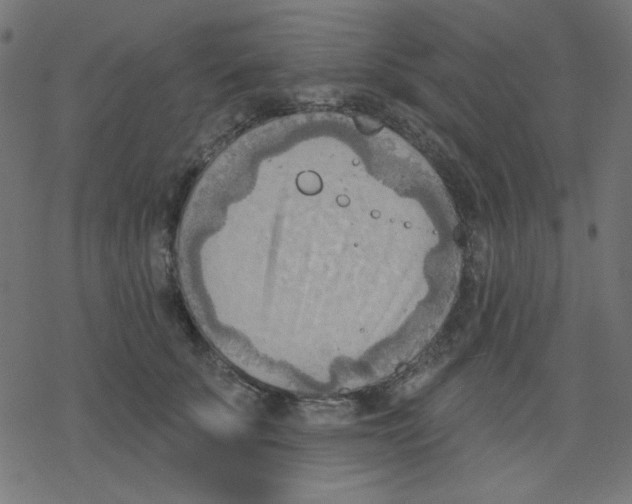 X0000078230707200612011540