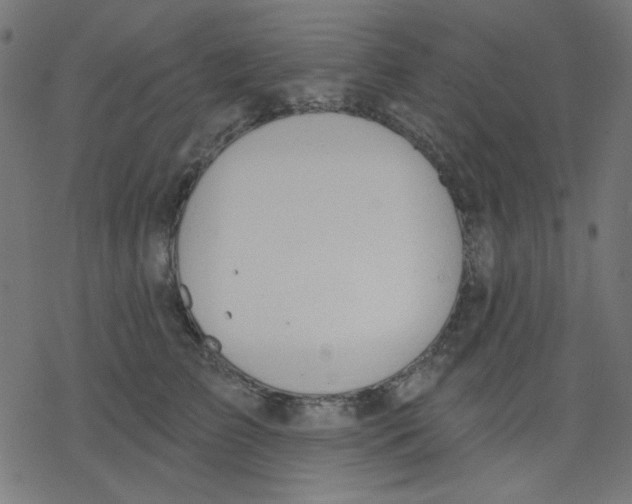 X0000078230709200612011540