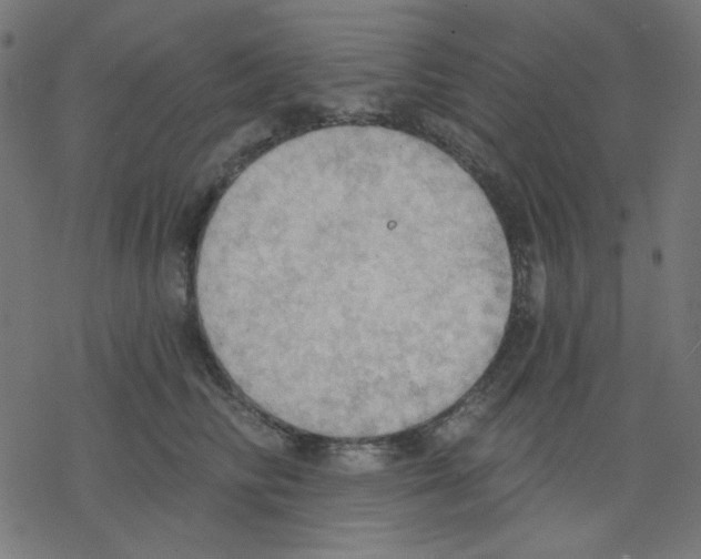 X0000078230710200612011540