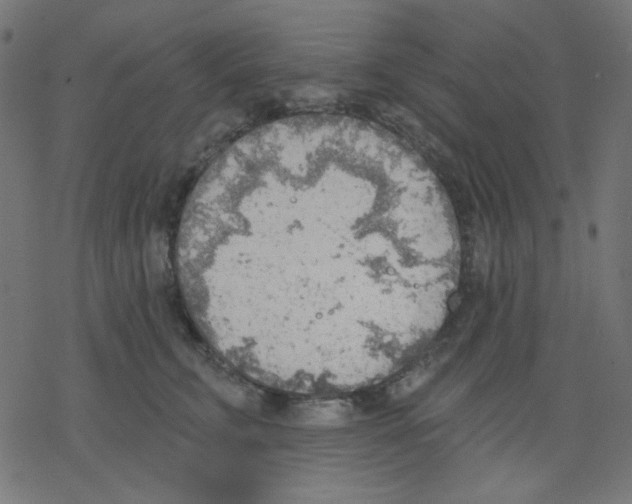 X0000078230711200612011540