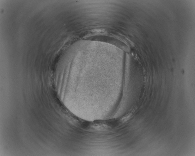 X0000078230712200612011540