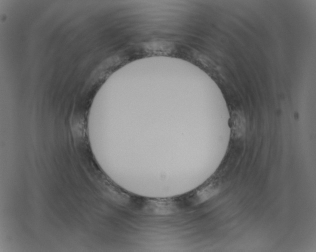 X0000078230713200612011540