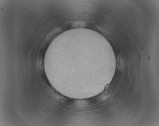 X0000078230714200612011540