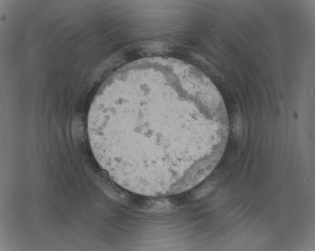 X0000078230715200612011540