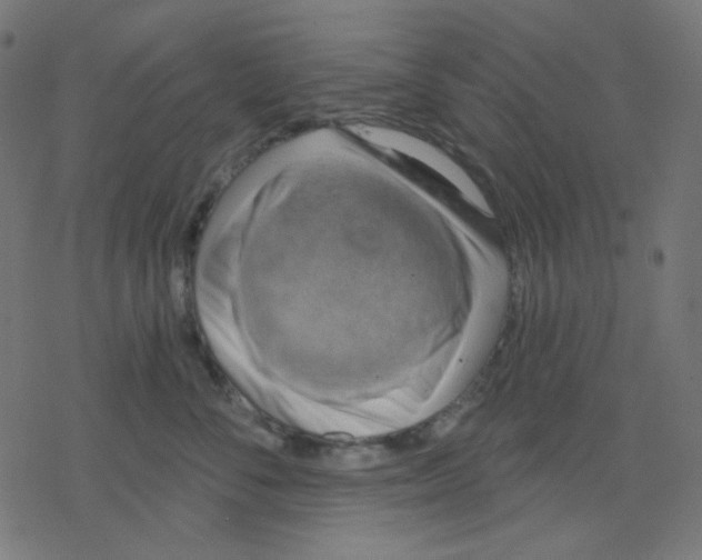 X0000078230716200612011540