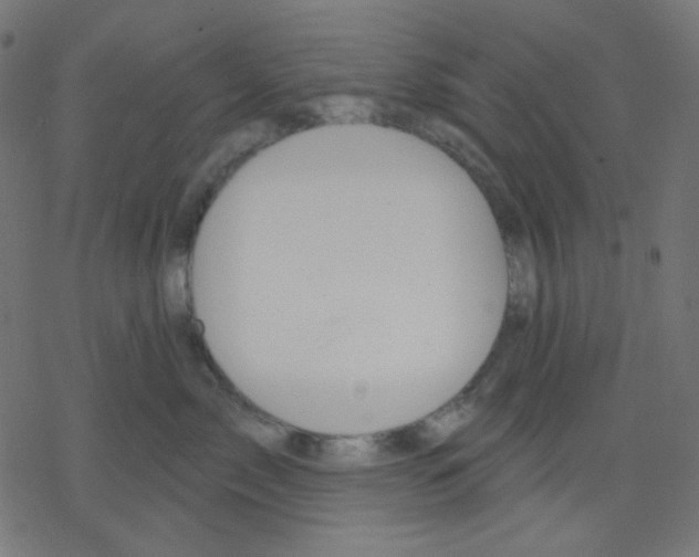 X0000078230717200612011540