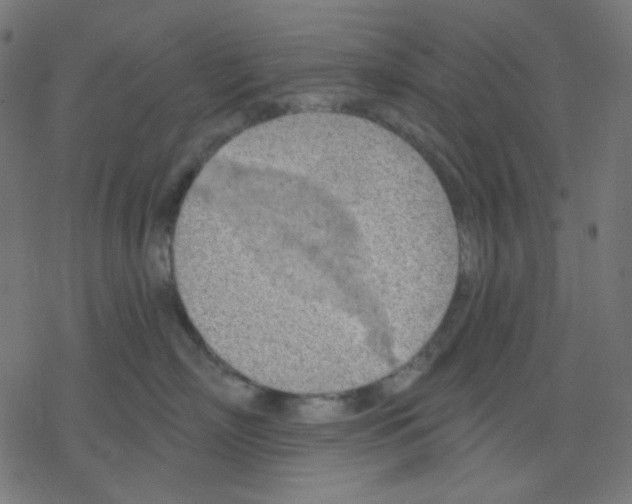 X0000078230718200612011540