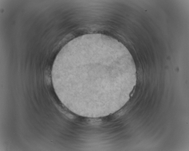 X0000078230719200612011540