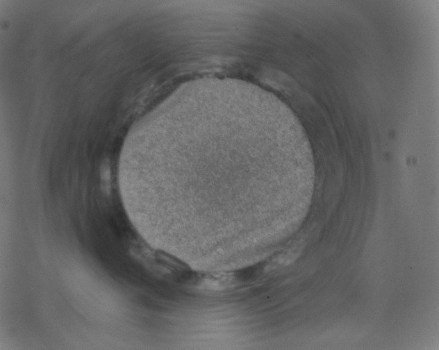 X0000078230720200612011540