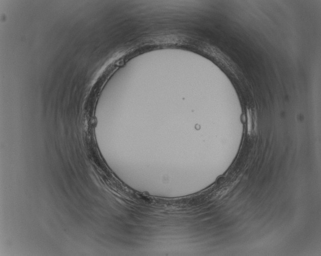 X0000078230723200612011539