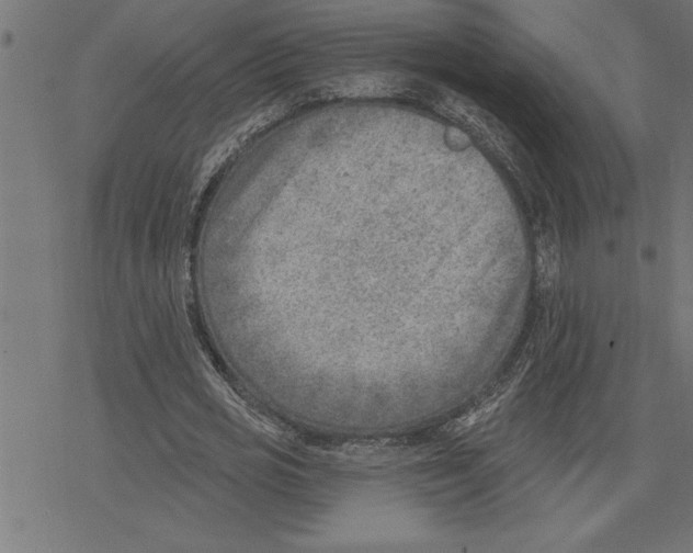 X0000078230725200612011539