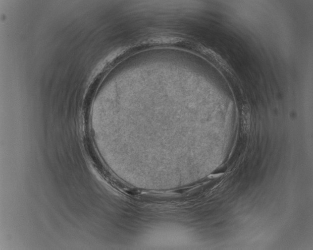 X0000078230726200612011539