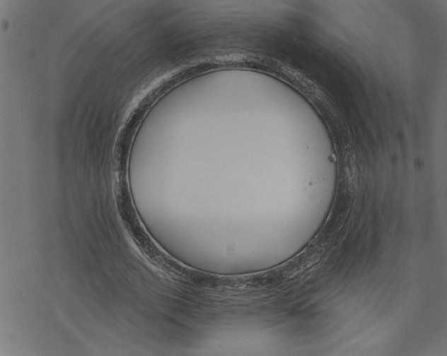 X0000078230728200612011539