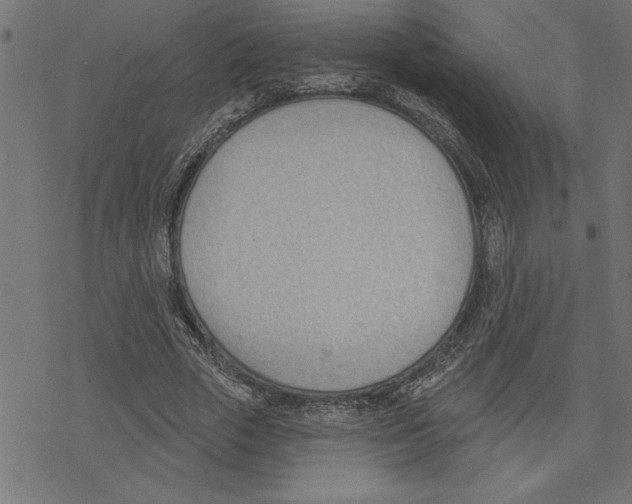 X0000078230729200612011539