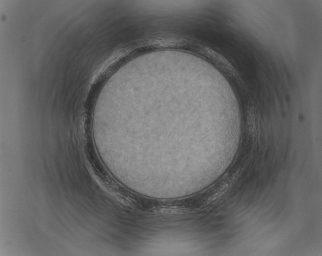 X0000078230730200612011539