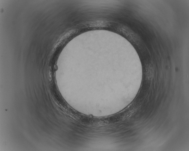 X0000078230731200612011539