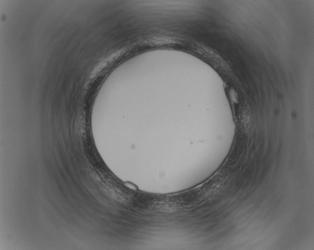 X0000078230732200612011539