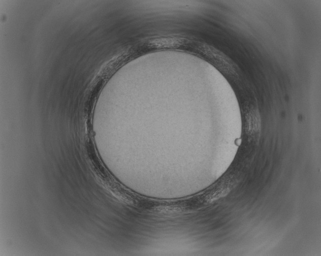 X0000078230733200612011539