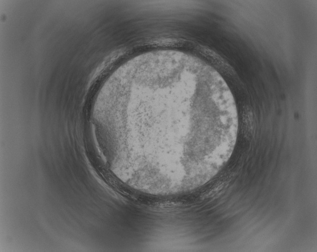 X0000078230734200612011539