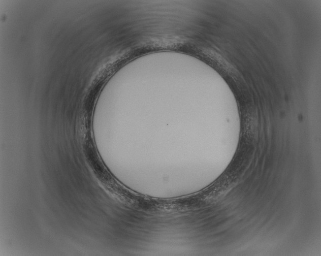 X0000078230736200612011539