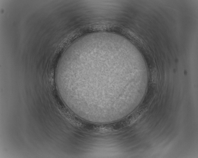 X0000078230737200612011539