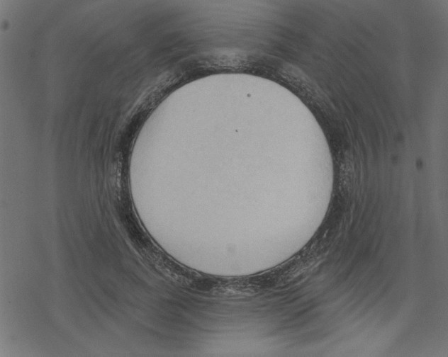 X0000078230739200612011539