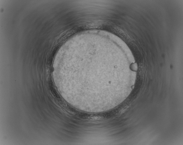 X0000078230741200612011539