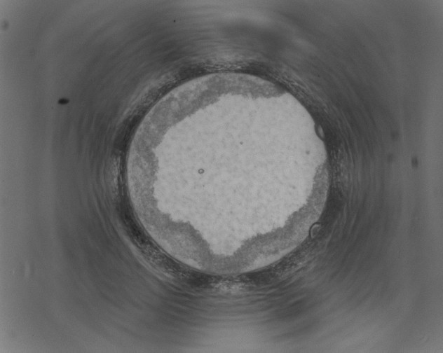 X0000078230742200612011539