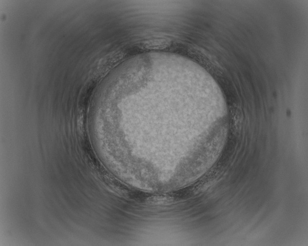 X0000078230745200612011539