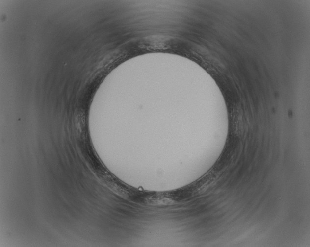 X0000078230747200612011539