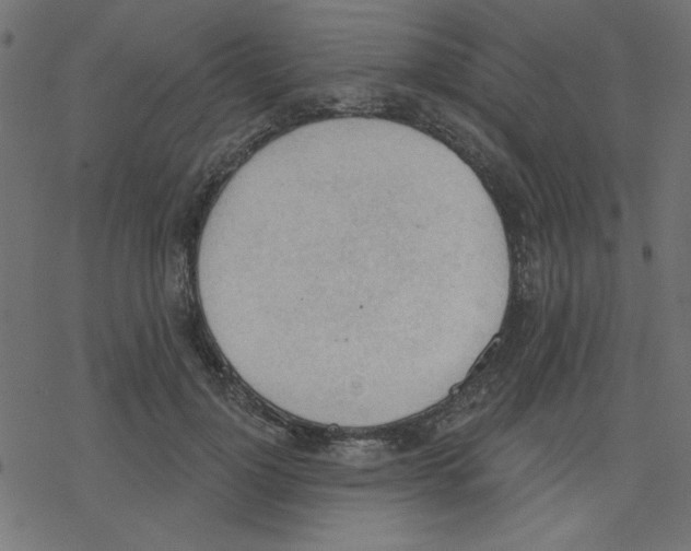 X0000078230748200612011539